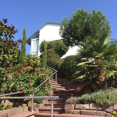 Ferienwohnung Palmenalm Bad Orb Zewnętrze zdjęcie