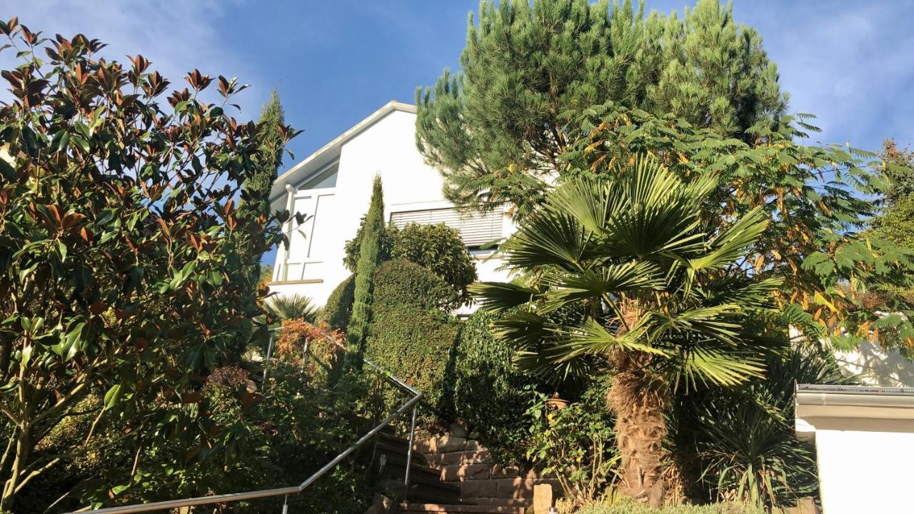 Ferienwohnung Palmenalm Bad Orb Zewnętrze zdjęcie